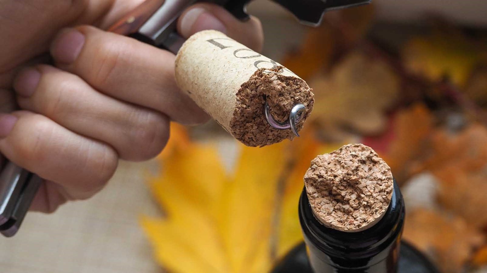 Guide to Spotting a Faulty Wine