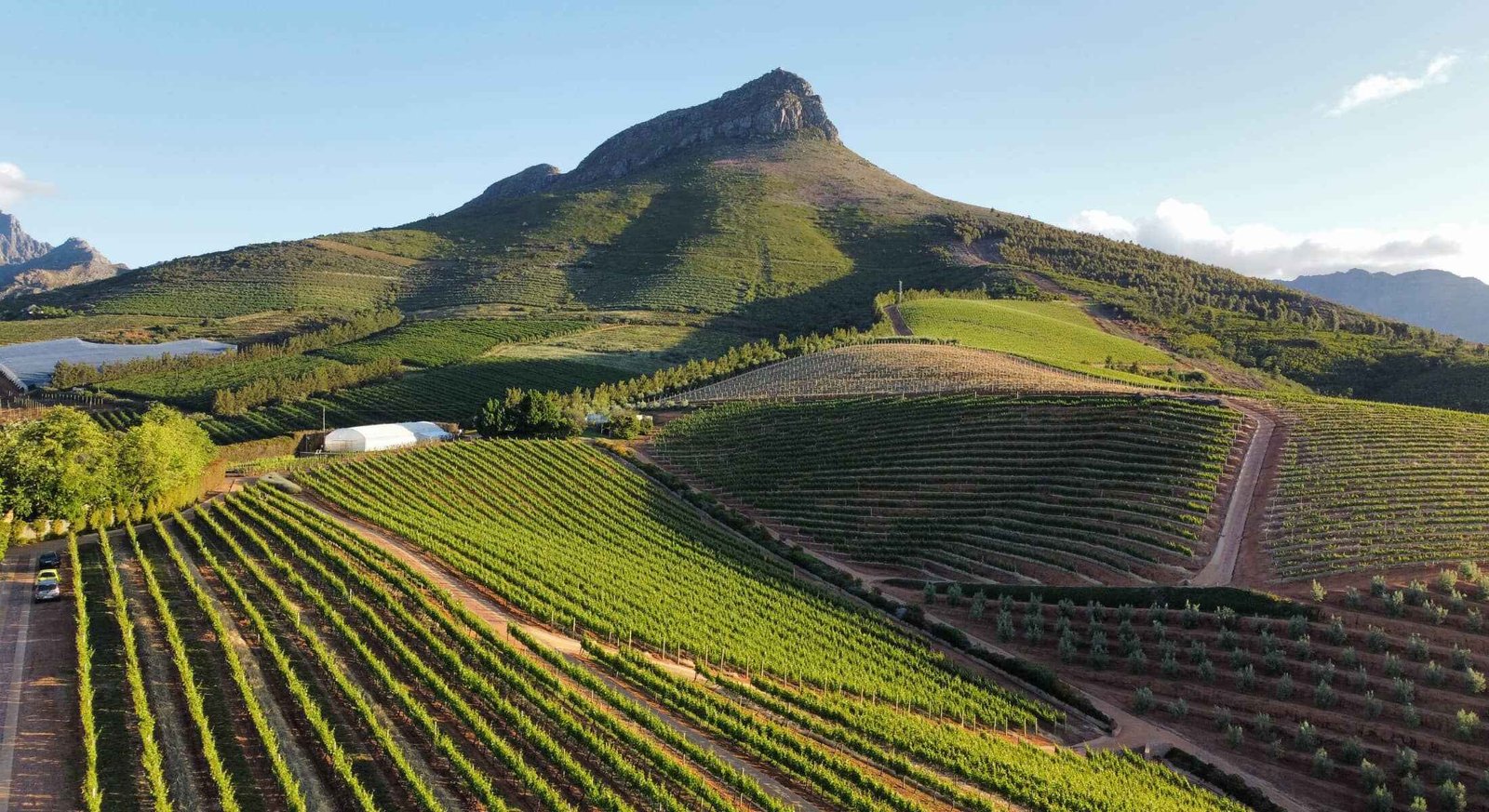 Stellenbosch
