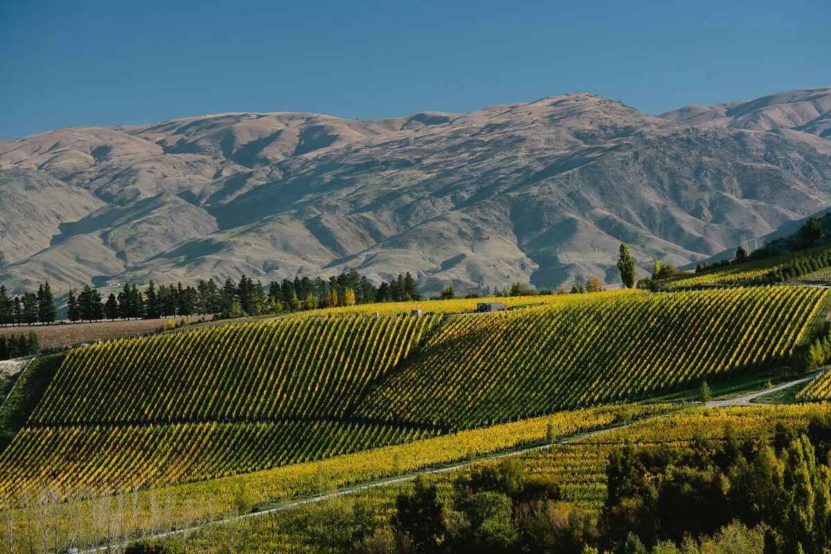 Central Otago