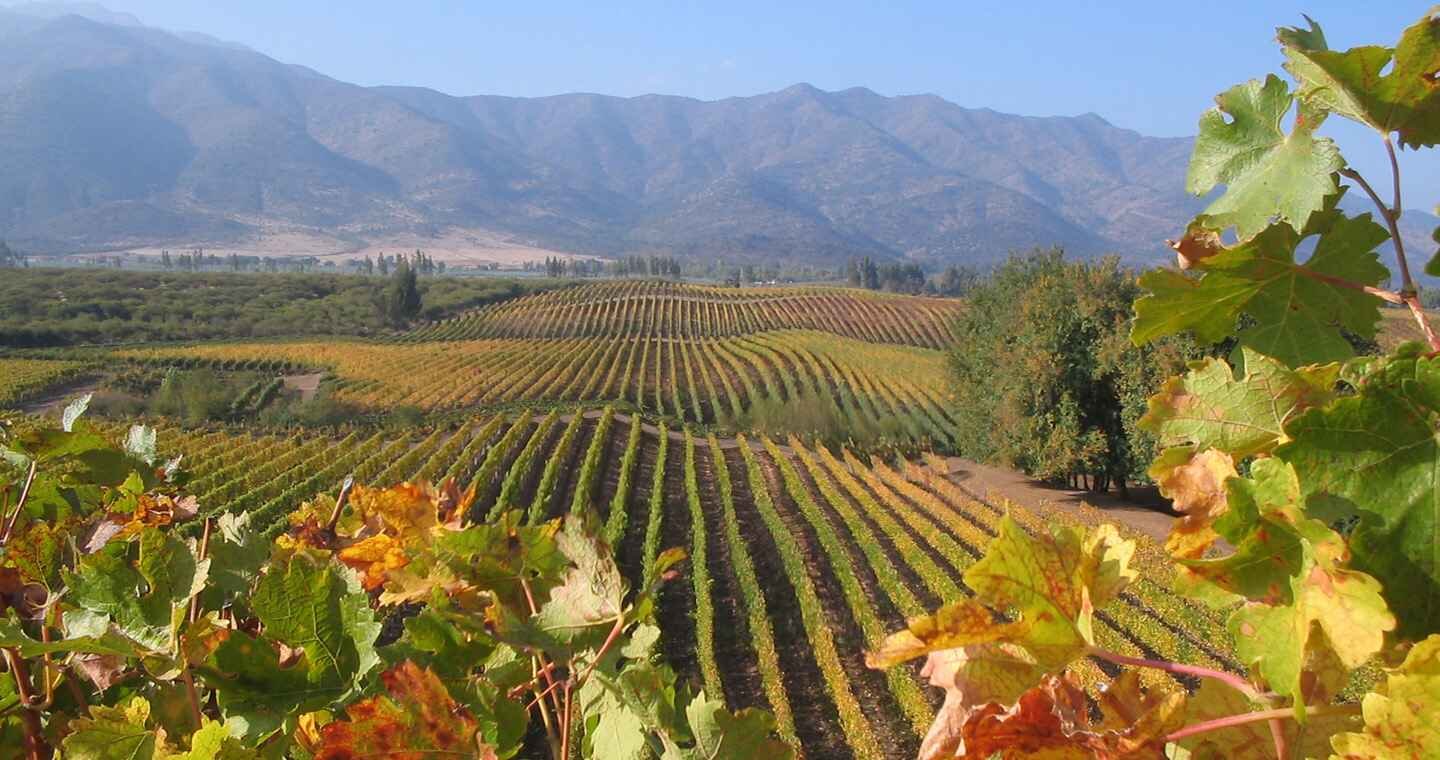 Colchagua Valley