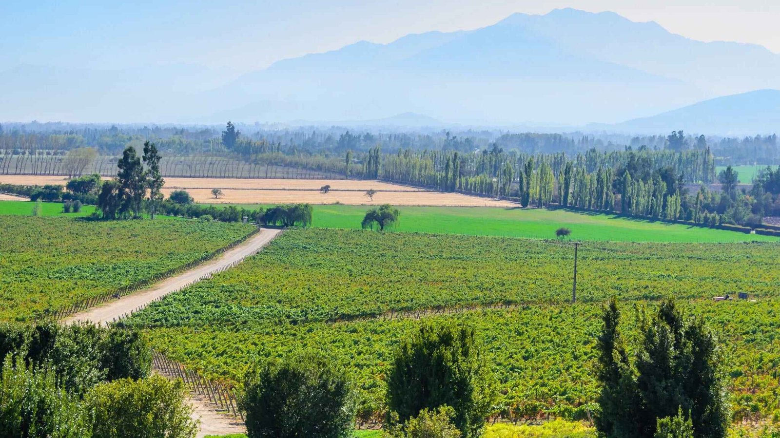 Maipo Valley