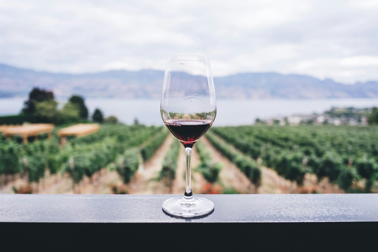 A wine glass filled with red wine sits on a dark railing, overlooking a vast vineyard and a large lake or body of water with distant hills under an overcast sky.